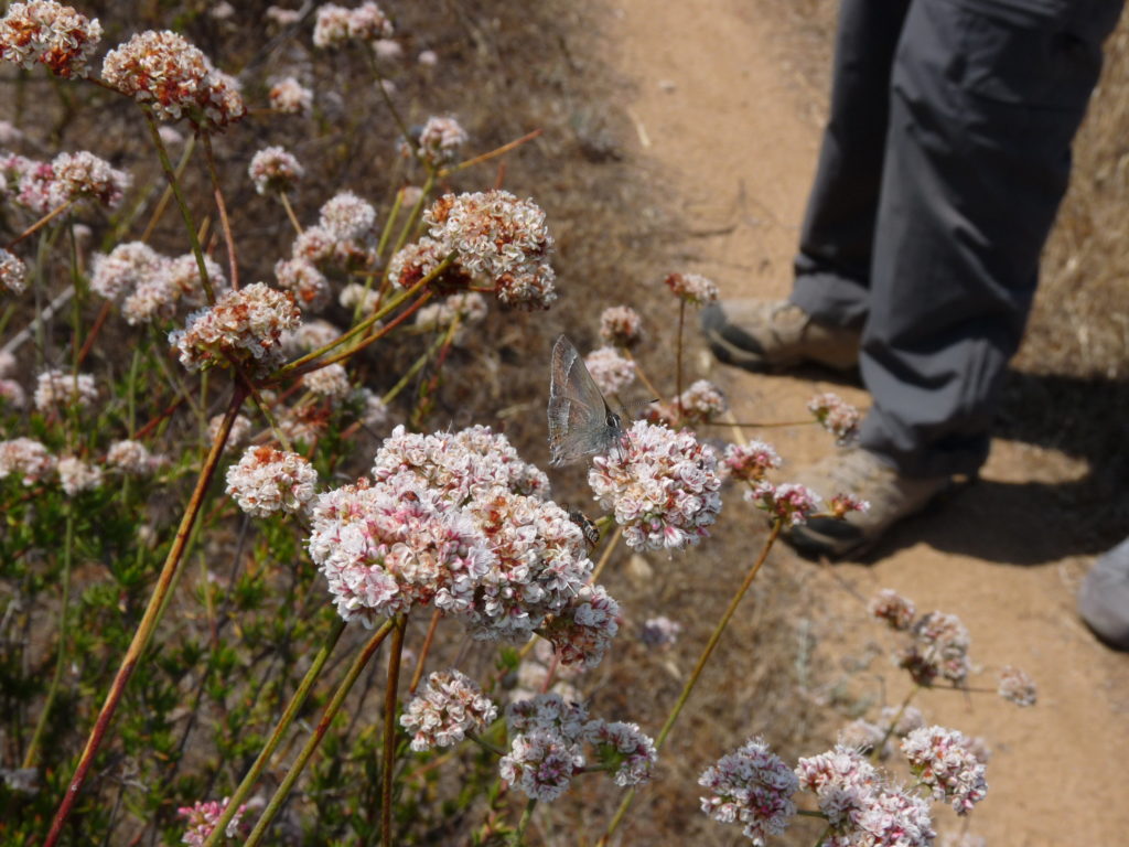 Hiking 101: Trail Tips for Beginners 2